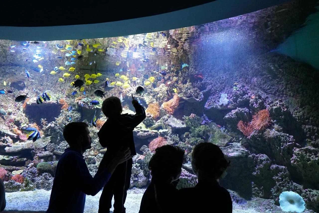 Kids enjoying the Aquarium
