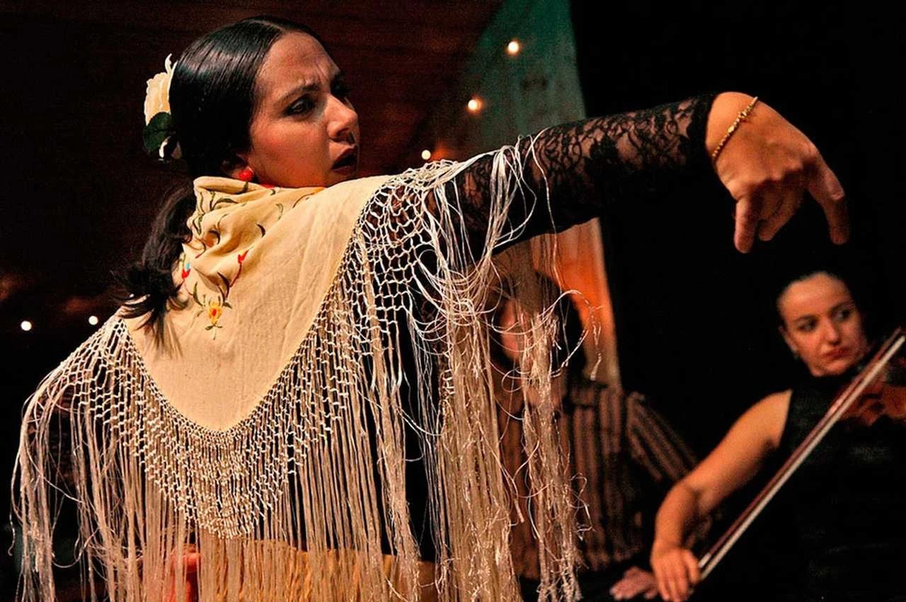 Flamenco woman dancing